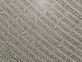 Aerial photo of Denver from drone